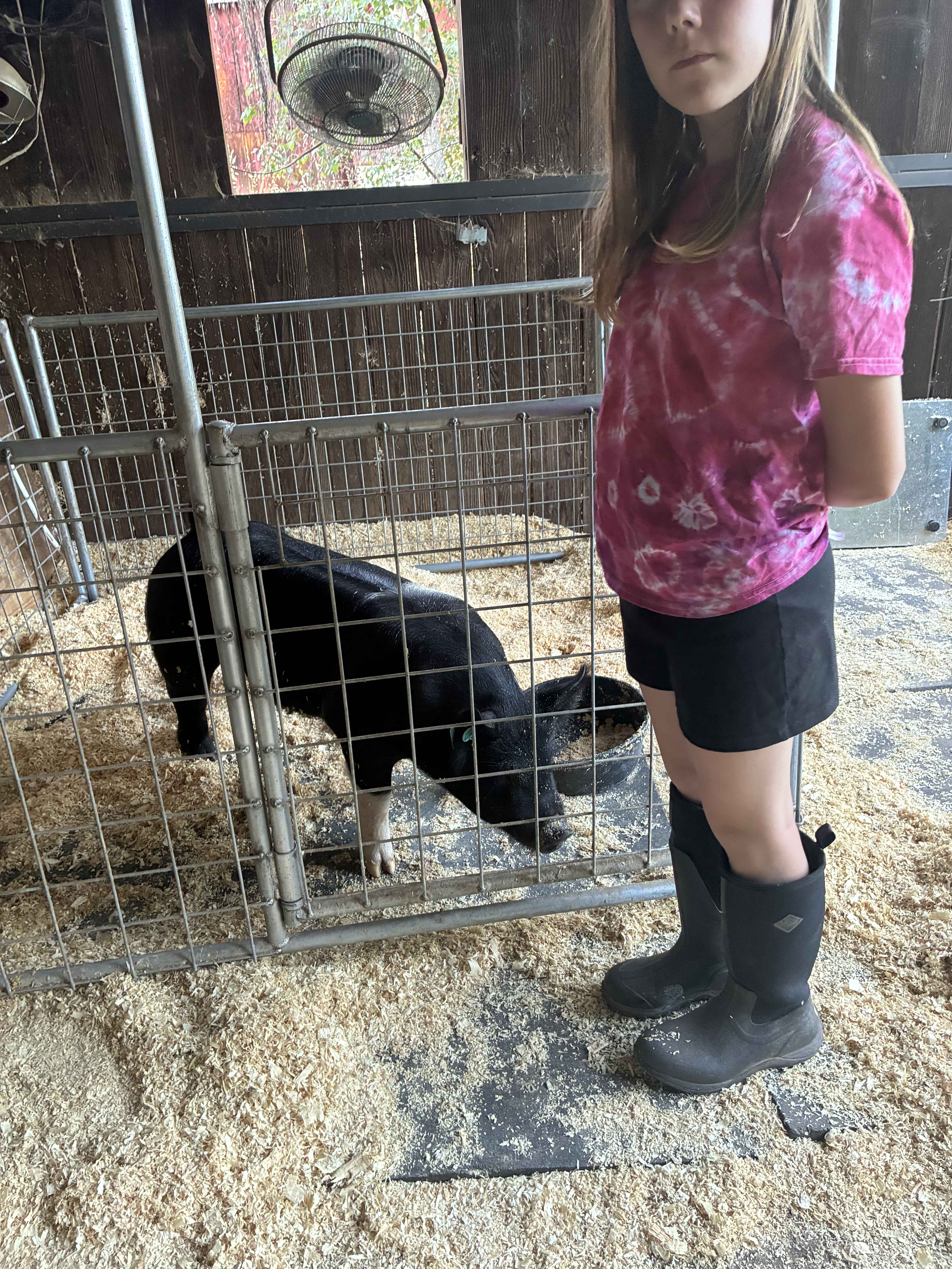Show pig image 1
